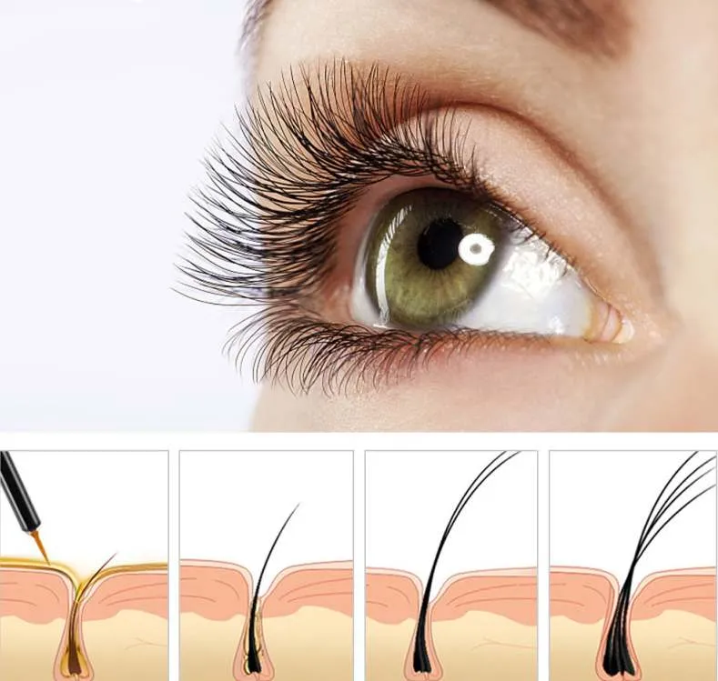 8ml Thick And Slender Mascara