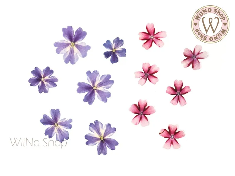 Verbena Flower Nail Art Decoration